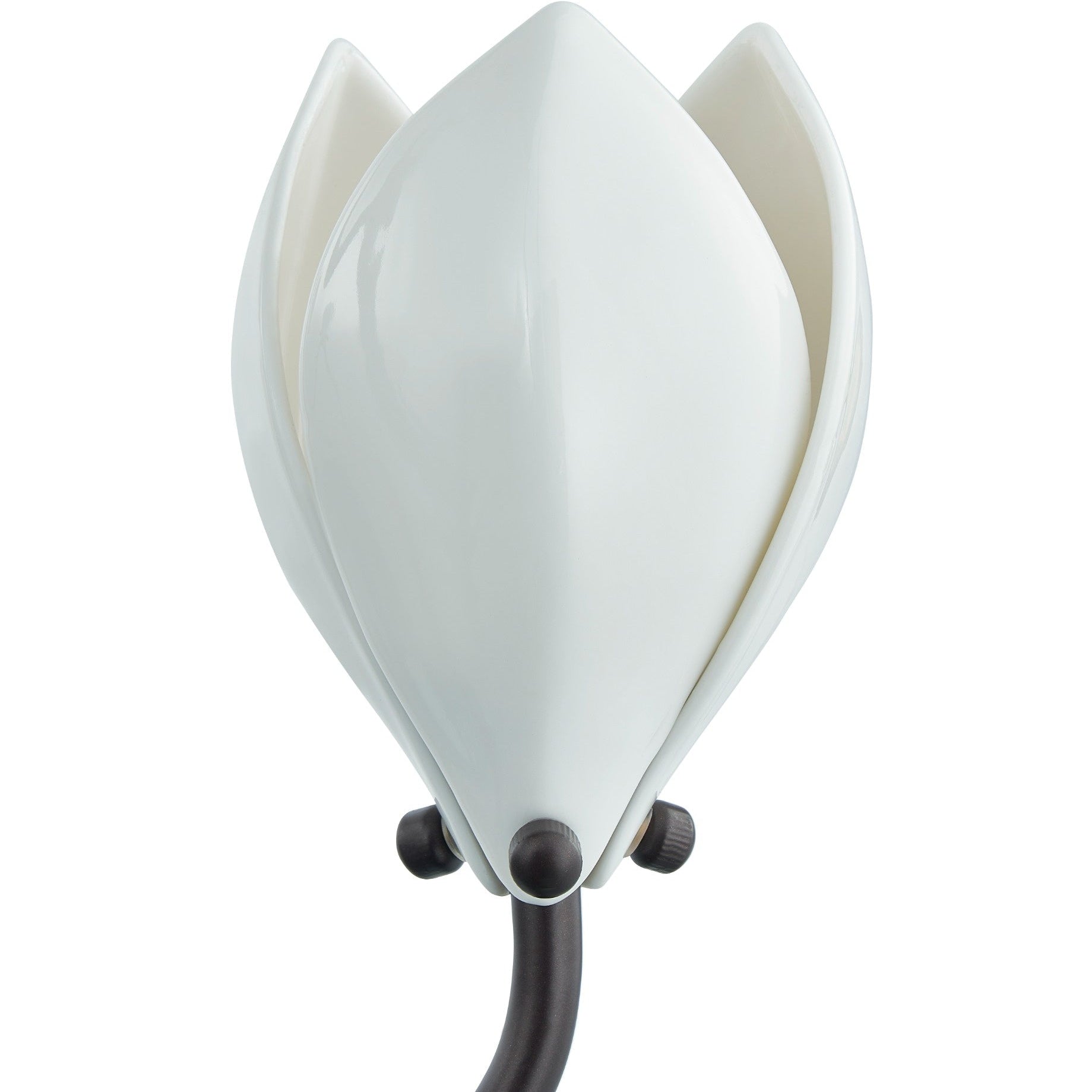 Magnolia Bloom